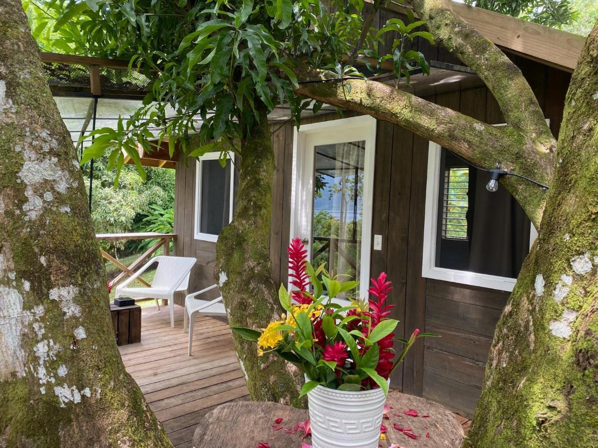 Finca Vela Lodge Bocas del Toro Exterior photo