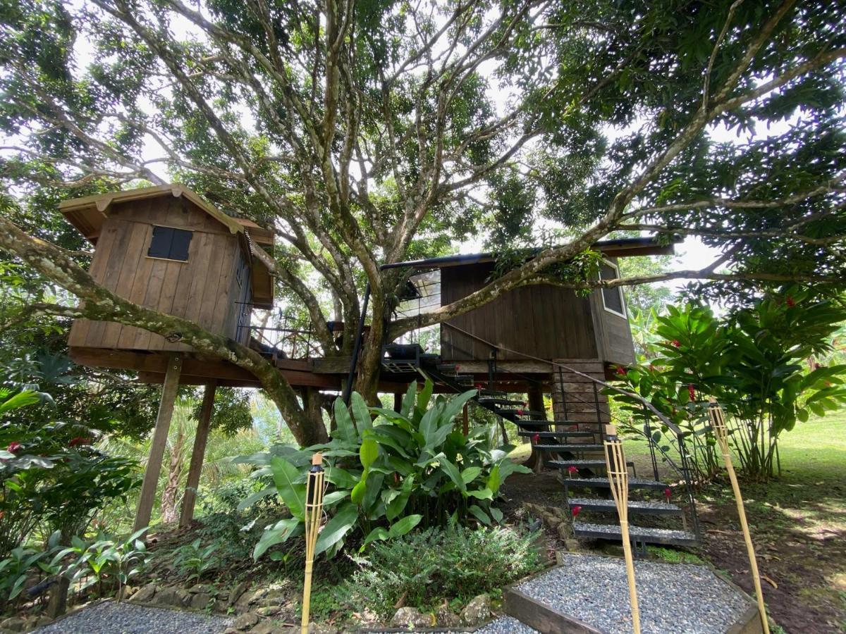Finca Vela Lodge Bocas del Toro Exterior photo