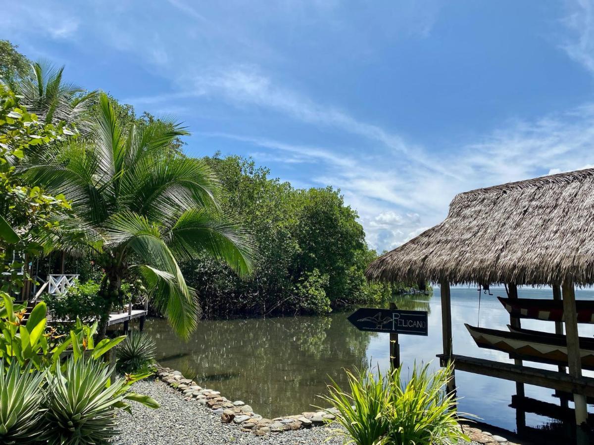 Finca Vela Lodge Bocas del Toro Exterior photo