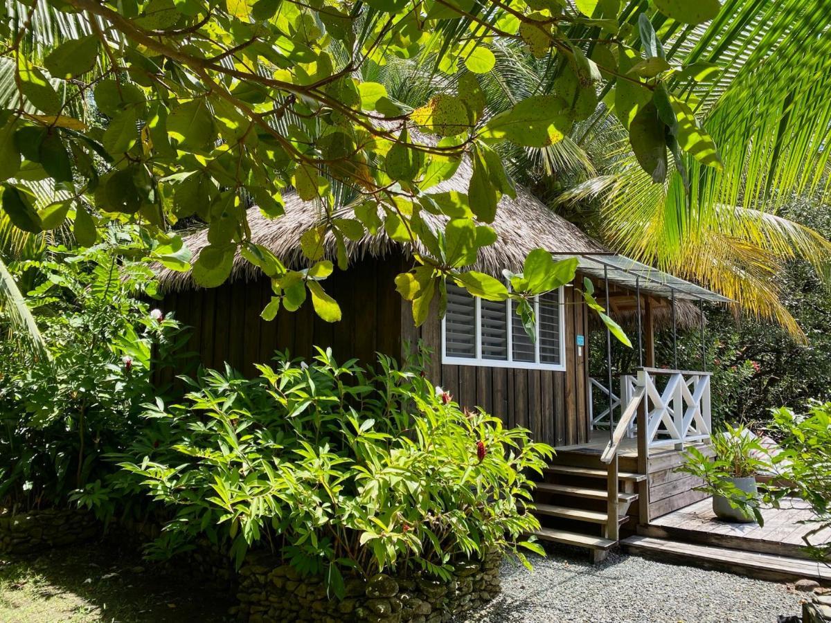 Finca Vela Lodge Bocas del Toro Exterior photo