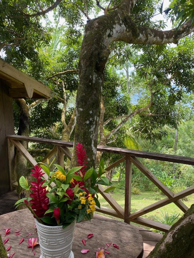 Finca Vela Lodge Bocas del Toro Exterior photo