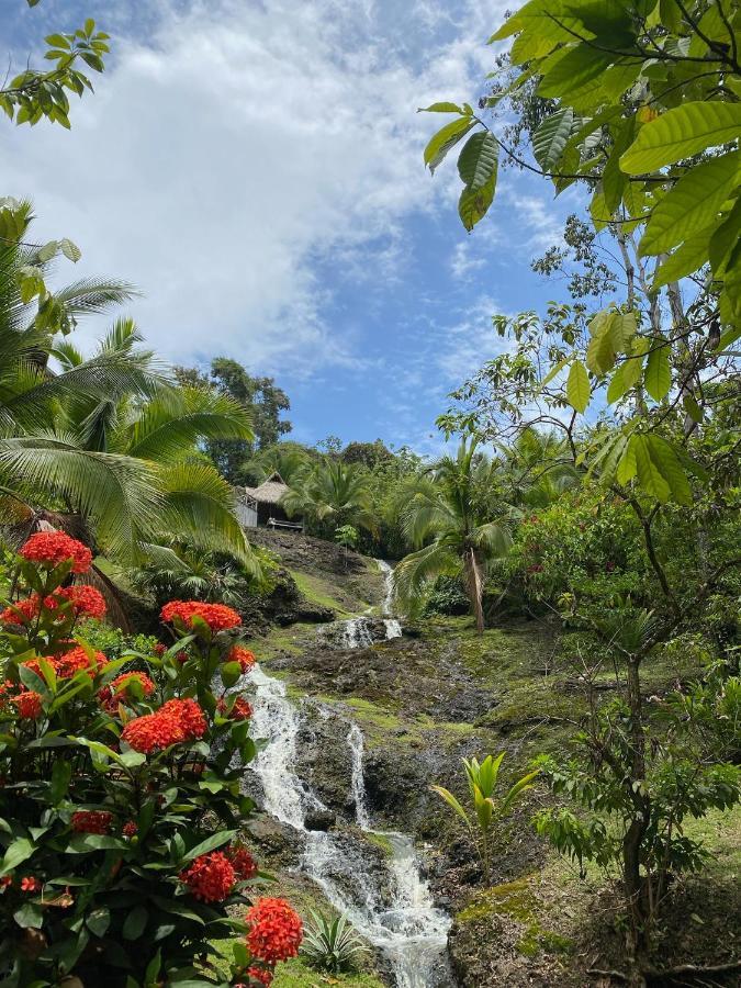 Finca Vela Lodge Bocas del Toro Exterior photo