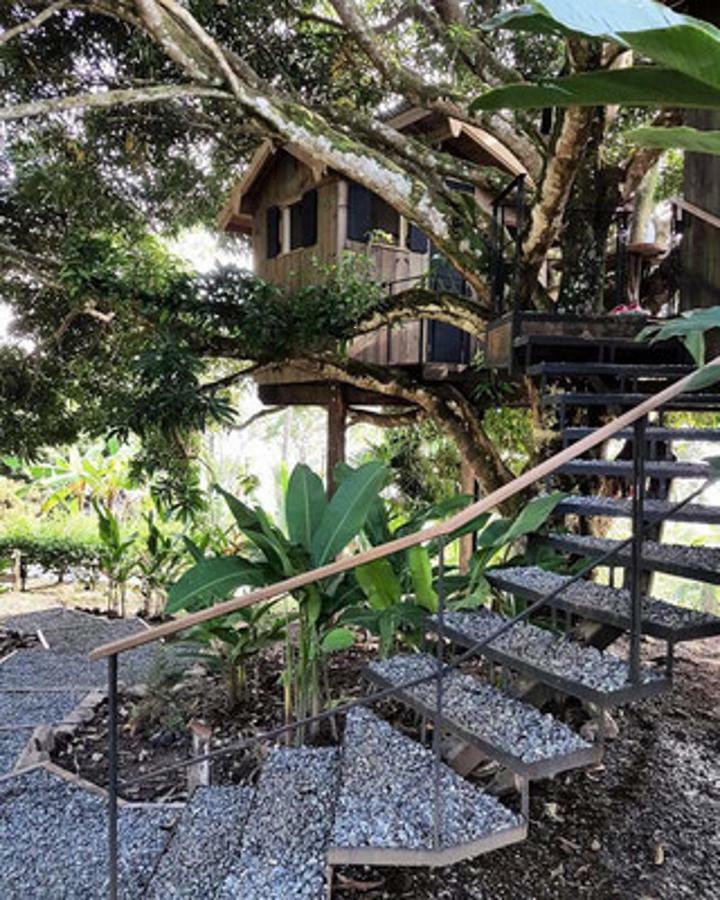 Finca Vela Lodge Bocas del Toro Room photo